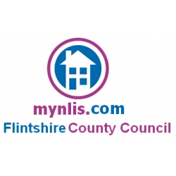 Flintshire Regulated LLC1 and Con29 Search